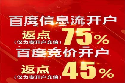 突破关键词竞价排名困境的案例解析